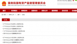 大動(dòng)作！水泥龍頭企業(yè)高層“大換血”！