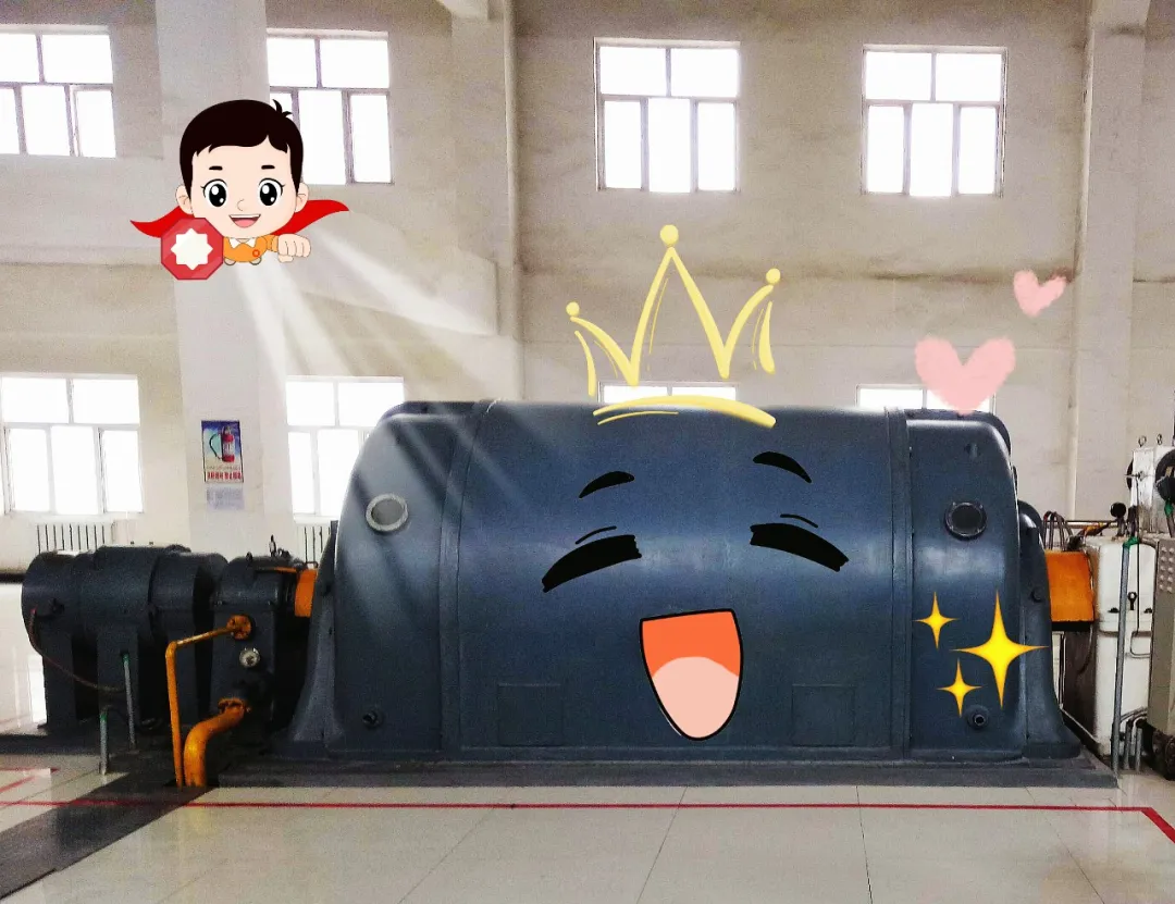 速來圍觀！！新疆水泥家的“顯眼包”來了