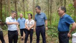 海螺水泥遷建項目有序推進(jìn)中！