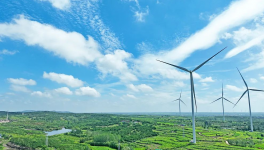 重磅！中共中央、國務院印發(fā)！信息量巨大!