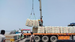 3000噸進(jìn)口水泥抵達(dá)，這一地區(qū)水泥降價(jià)！